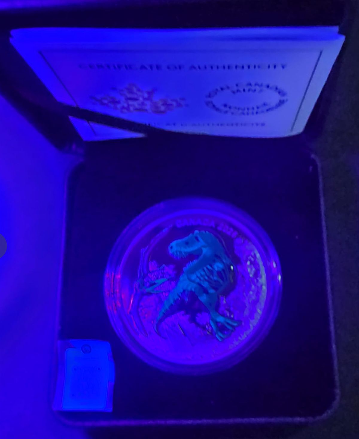 Moneda T-Rex plata .999 Canadá